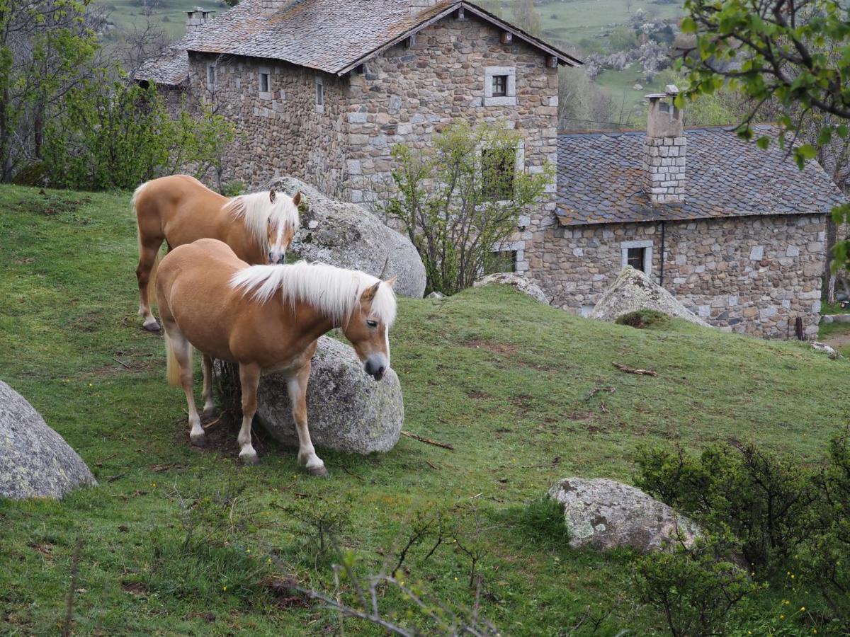 Ferme Can Llull Enveitg Dış mekan fotoğraf