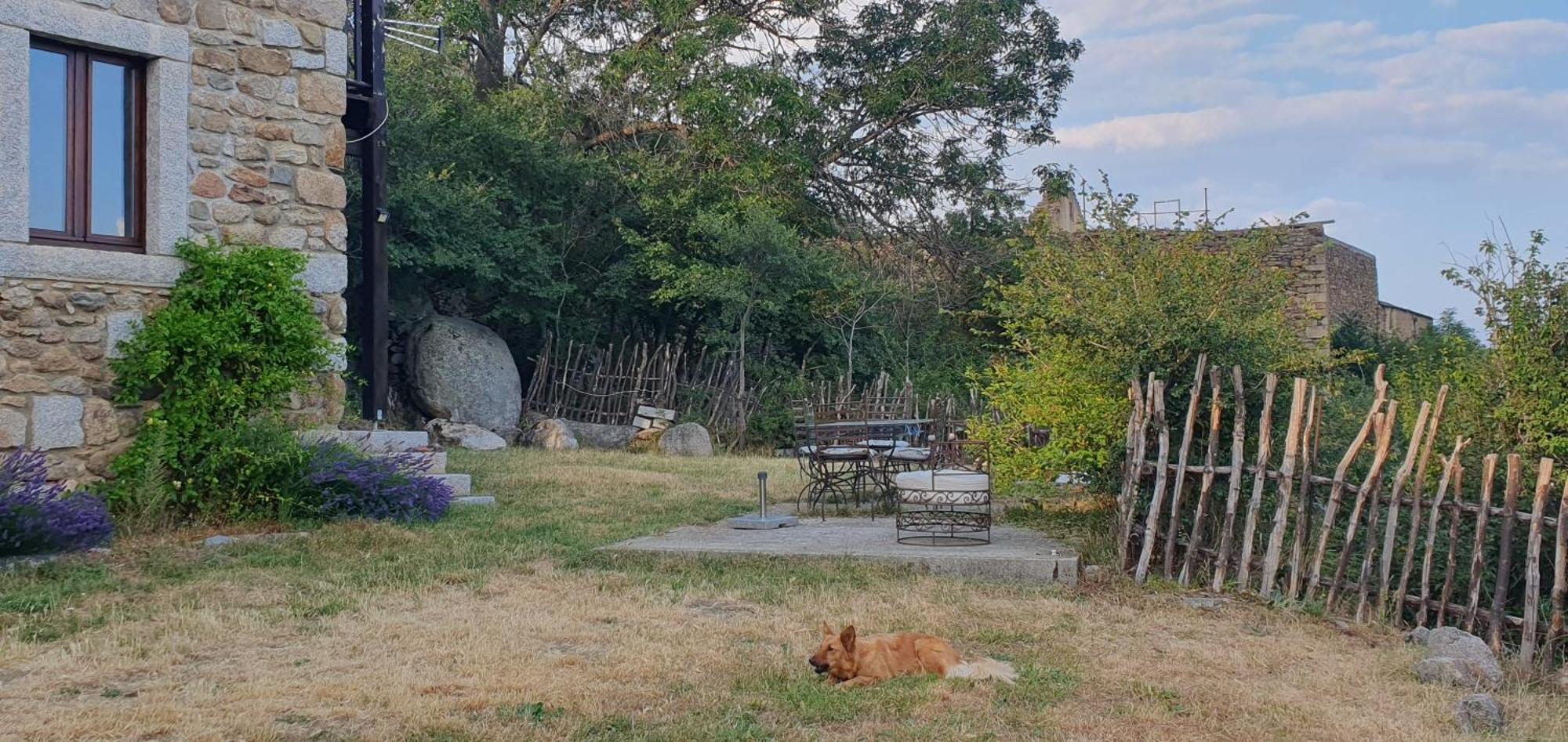 Ferme Can Llull Enveitg Dış mekan fotoğraf